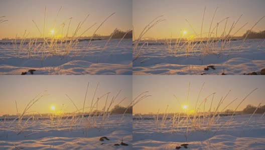 草被晨霜覆盖高清在线视频素材下载