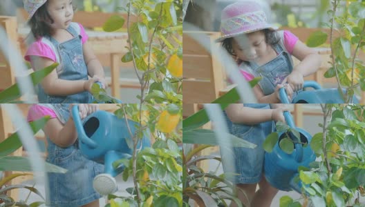小女孩在花园里给盆栽浇水\理念:关爱自然高清在线视频素材下载