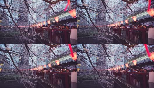 日本东京的樱花和目黑河高清在线视频素材下载
