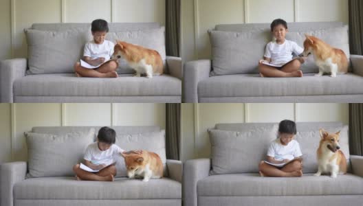 亚洲孩子和狗狗一起在线学习。新常态研究与检疫的概念高清在线视频素材下载