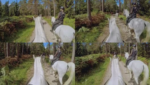 POV骑马穿过美丽的森林高清在线视频素材下载