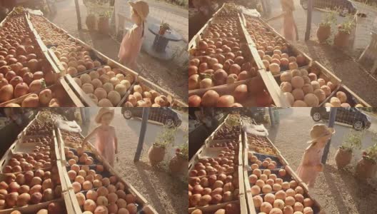 小女孩在农贸市场挑选水果高清在线视频素材下载