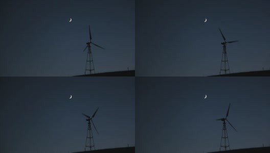月光下的夜风高清在线视频素材下载