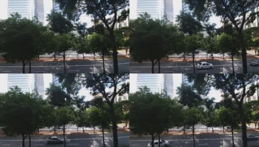 圣保罗的树木高清在线视频素材下载