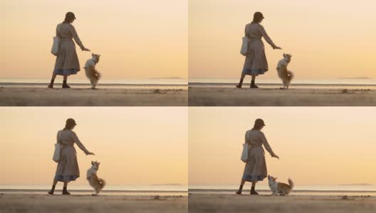 美丽的风景和女人训练狗，而站在海边日落spbi高清在线视频素材下载
