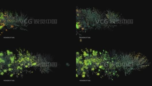 种花高清在线视频素材下载