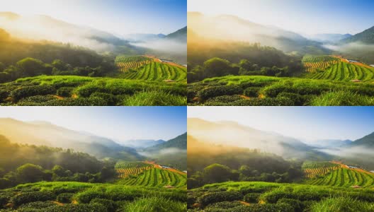 美丽的阳光在朦胧的早晨泰国北部山区高清在线视频素材下载