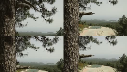 土耳其塔塔里山顶上的松树高清在线视频素材下载