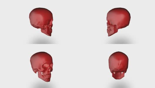 人类头骨(loopable)高清在线视频素材下载