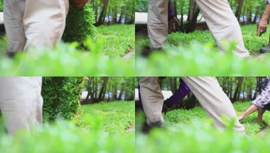 种植新的草皮高清在线视频素材下载