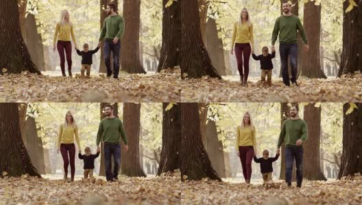 一家人在秋季公园散步高清在线视频素材下载