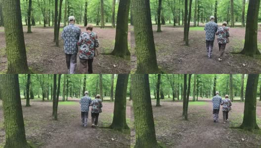 Senior couple in the park高清在线视频素材下载