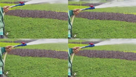 亚洲园丁在公园浇灌草坪，慢镜头。高清在线视频素材下载