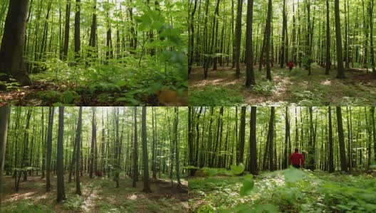 HD CRANE:在绿色森林中慢跑的人高清在线视频素材下载