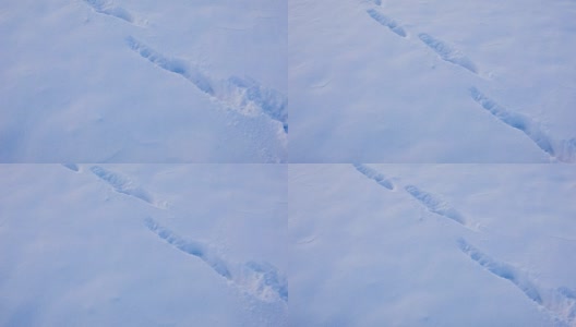 雪上的人类痕迹高清在线视频素材下载