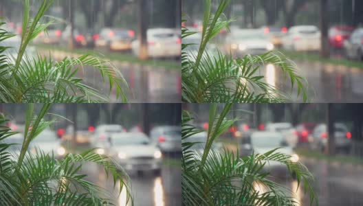 雨水落在植物上，落在有汽车的道路背景上，改变焦点高清在线视频素材下载