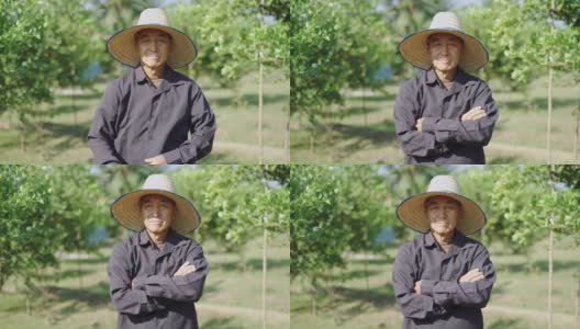 微笑的农民戴着帽子站在农田里高清在线视频素材下载
