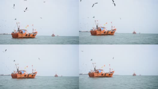 在印度古吉拉特邦的奥卡港，海鸥飞过阿拉伯海的船只。港口的渔船上挂着印度国旗。阿拉伯海的小木船。高清在线视频素材下载