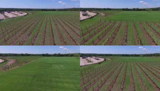 空中葡萄酒市场或农场市场在葡萄园空中飞过高清在线视频素材下载