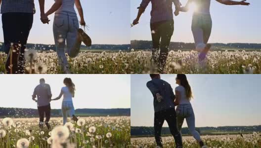 快乐的夫妇在蒲公英草地上奔跑高清在线视频素材下载