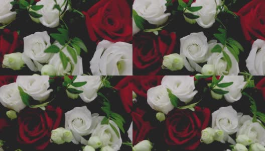 一束新鲜的白玫瑰的特写镜头高清在线视频素材下载