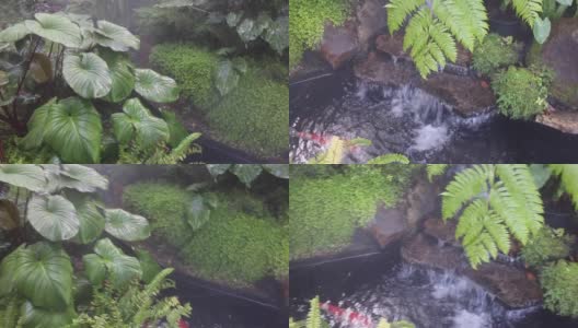 在热带花园中喷洒水珠作为蒸汽高清在线视频素材下载