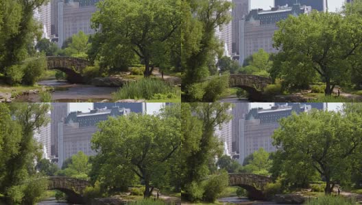 纽约中央公园的池塘高清在线视频素材下载