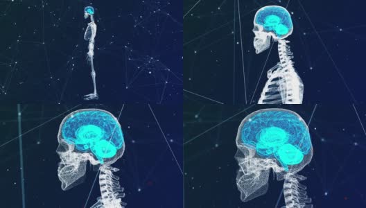 4K数字人体高清在线视频素材下载