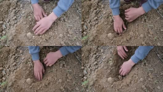 女孩用手挖土高清在线视频素材下载