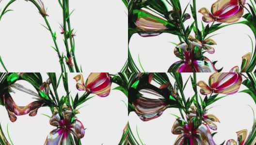 Atkinsiana植物花3D渲染高清在线视频素材下载