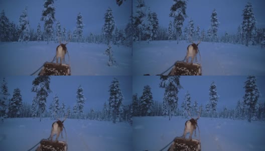 驯鹿骑在芬兰拉普兰看圣诞老人-广角镜头高清在线视频素材下载