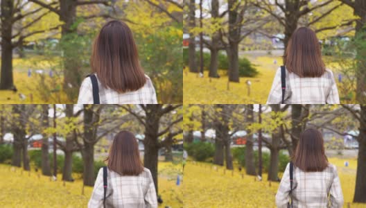 快乐的亚洲女性游客在日本昭和基嫩公园散步，看着美丽的黄色银杏叶在秋天飘落的4K后视图。日本旅游度假和季节变化的概念。高清在线视频素材下载