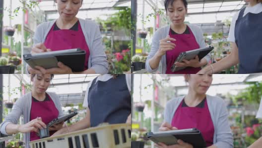 亚洲和高加索的女园丁或企业主使用电脑平板电脑在温室花园一起工作高清在线视频素材下载