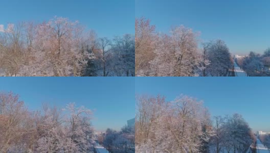 无人机拍摄沿街与公园、被霜覆盖的树木、住宅和办公楼的轨道摄像头运动。高清在线视频素材下载
