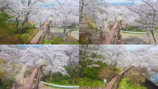 从日本宫城县船冈城堡遗址公园的樱花树下乘坐单轨列车观看高清在线视频素材下载