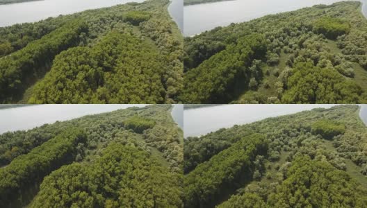 航拍的河岛与树木，流入Dnipro盆地在夏季高清在线视频素材下载
