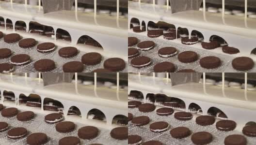 含有可可巧克力的饼干尝起来是棕色的高清在线视频素材下载