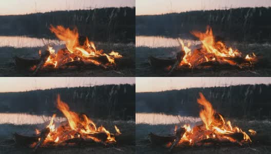 河边森林里燃烧着篝火的枯枝。高清在线视频素材下载