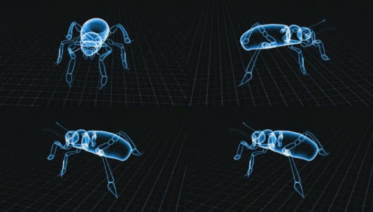 昆虫x射线扫描技术高清在线视频素材下载