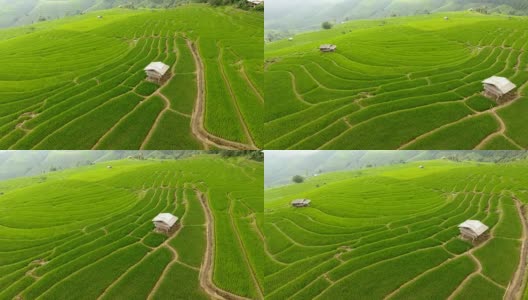 稻田梯田，山地农业用地。高清在线视频素材下载