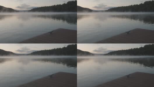 雾在乡村湖与码头，清晨，秋天高清在线视频素材下载