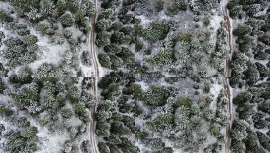 雪中的小径高清在线视频素材下载