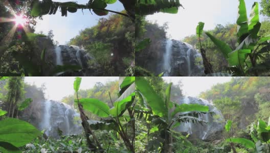 热带雨林中的瀑布高清在线视频素材下载