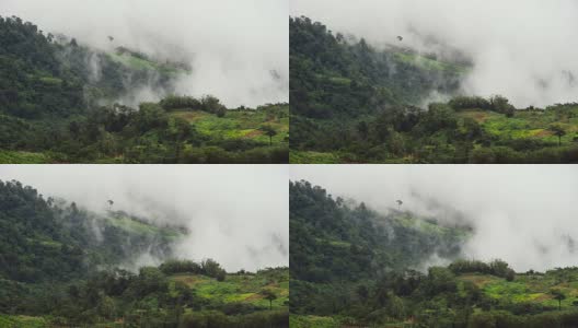 山,雾。/泰国碧差汶省公园府，雨季。高清在线视频素材下载