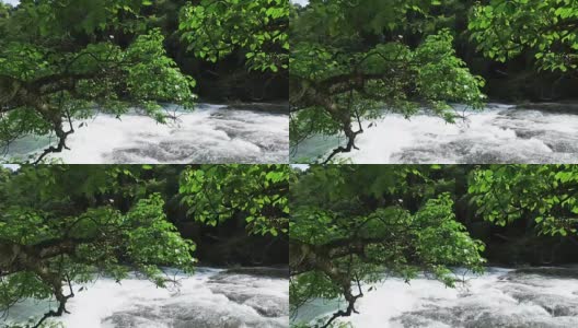 beautiful waterfall in guizhou province高清在线视频素材下载