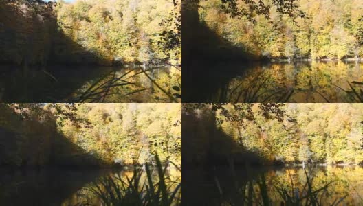 秋天湖面上树木的美丽倒影高清在线视频素材下载