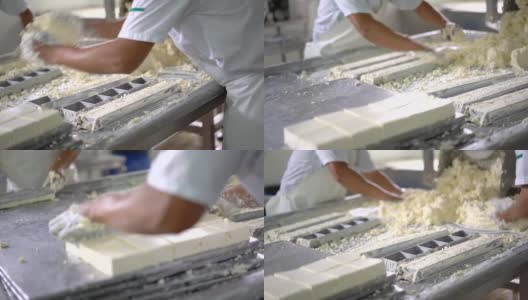 一群面目全非的人在乳品厂制作奶酪高清在线视频素材下载