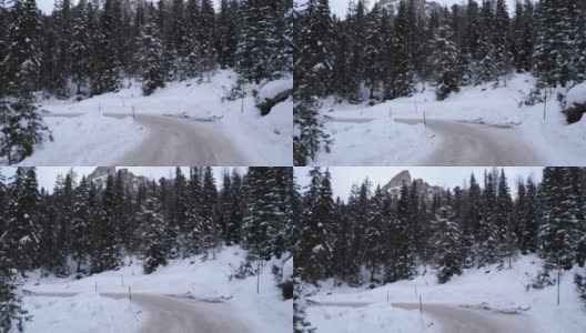 雪山上有树，远处有高高的岩石，高山之间有雪路高清在线视频素材下载