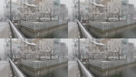 东京降雪区2022高清在线视频素材下载