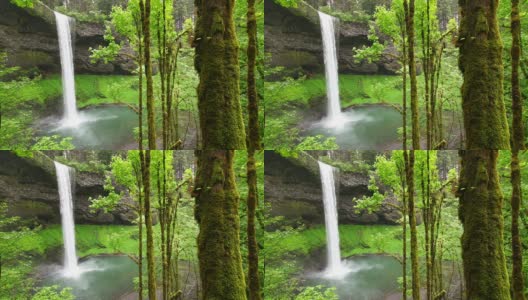 美国俄勒冈州银瀑布州立公园的南瀑布高清在线视频素材下载